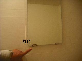 見積もりと現場下見_f0031037_2222289.jpg