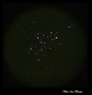 b0167343_0491176.jpg