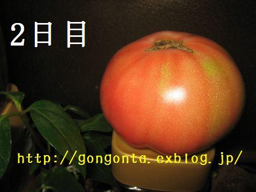 e0085147_127029.jpg