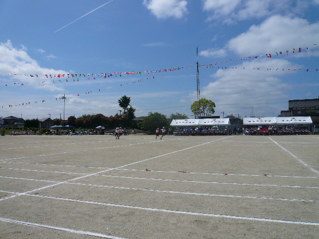 d0095954_07364.jpg