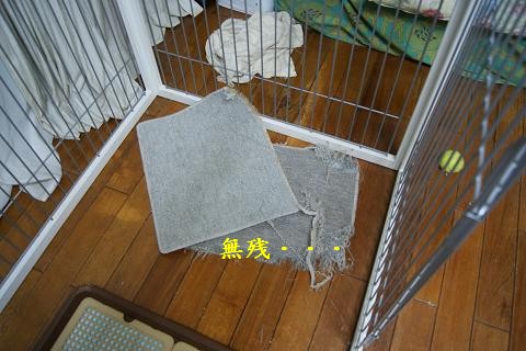 c0214455_18381182.jpg