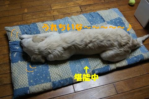 c0214455_18381877.jpg
