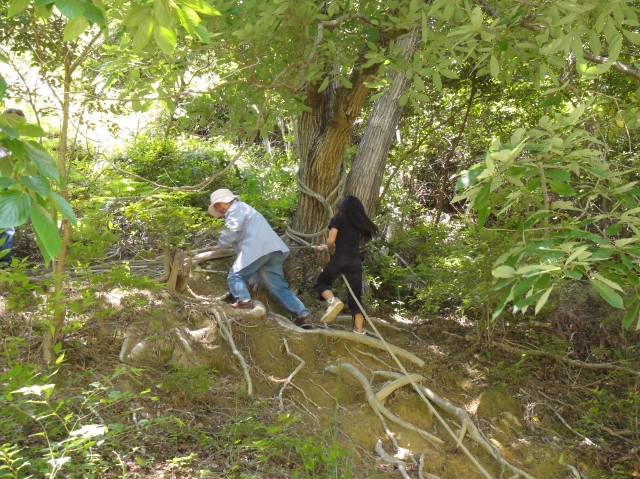 c0108460_12010.jpg
