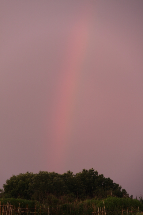 c0202860_1644444.jpg