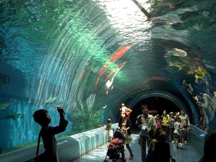 d0090161_21392277.jpg