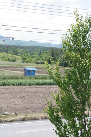 e0068962_21533652.jpg