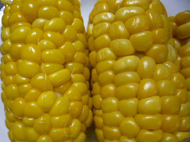 c0100865_7165713.jpg