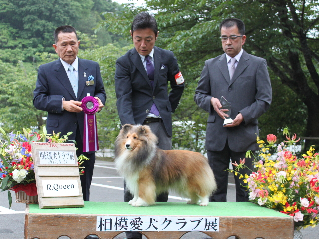 お転婆たち_f0126965_2262557.jpg