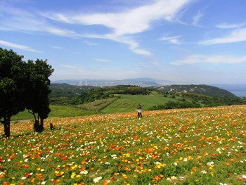 e0066369_12142591.jpg