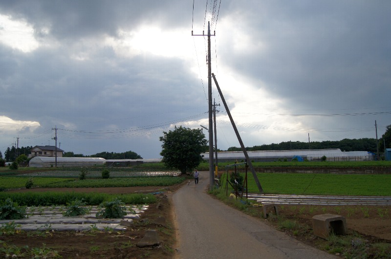 なんでもない風景_c0226280_2141476.jpg