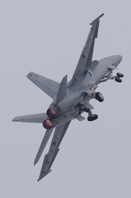 岩国フレンドシップデー　（F/A-18F　フライトデモ）_c0135381_22533839.jpg