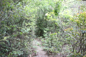 e0024081_16327.jpg