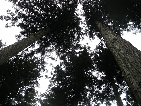 e0147481_2083574.jpg