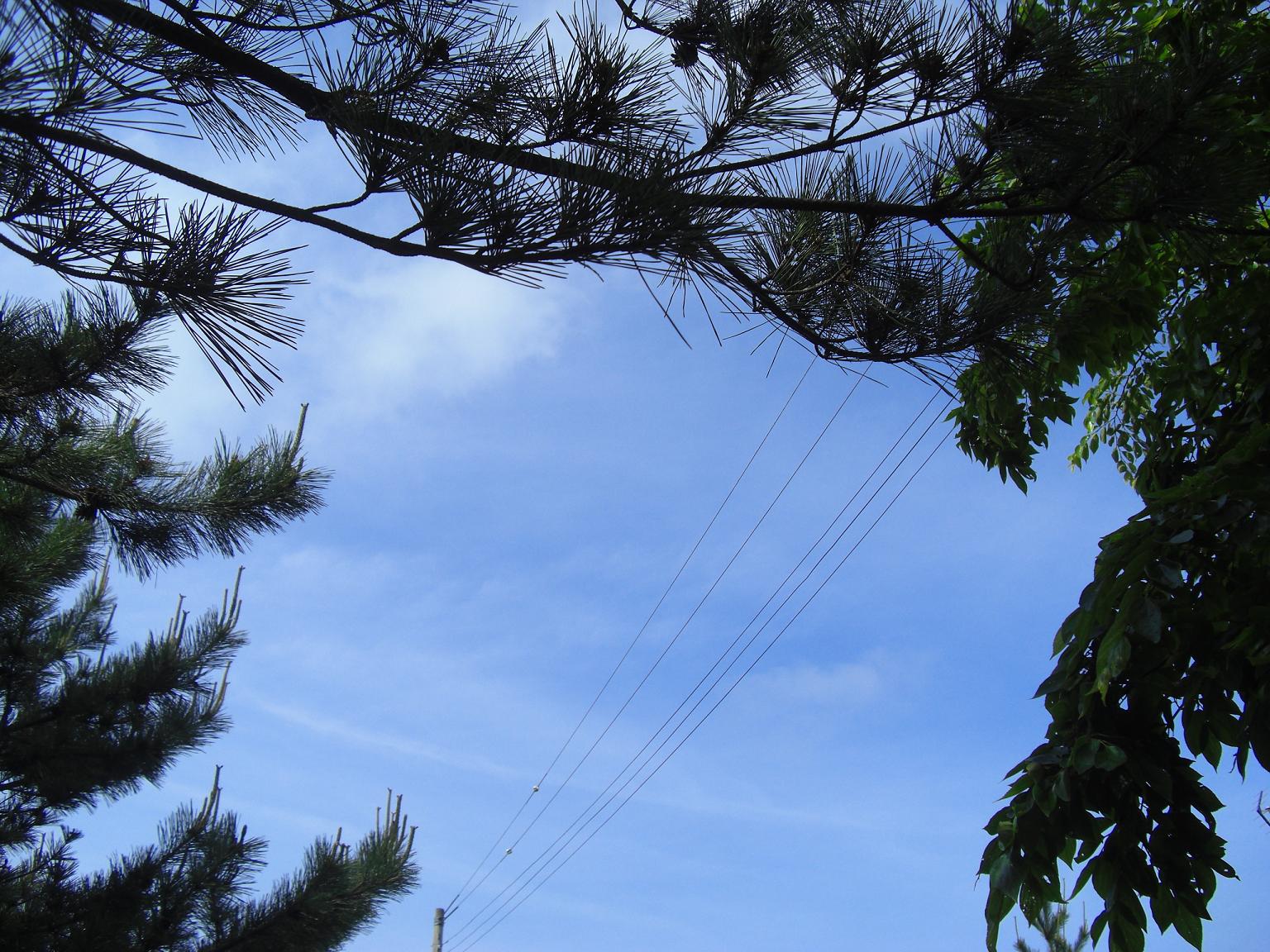f0131491_1605444.jpg