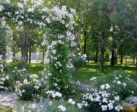 f0055192_11303550.jpg