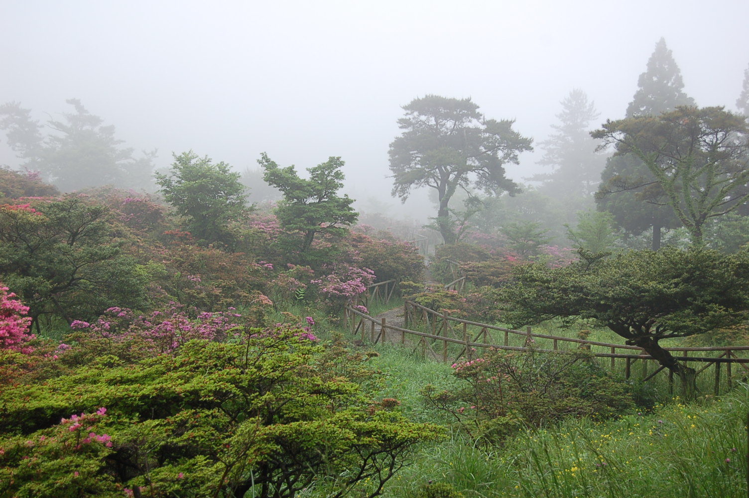 「九州」－長崎3日目5月24日ー_b0087994_22424631.jpg