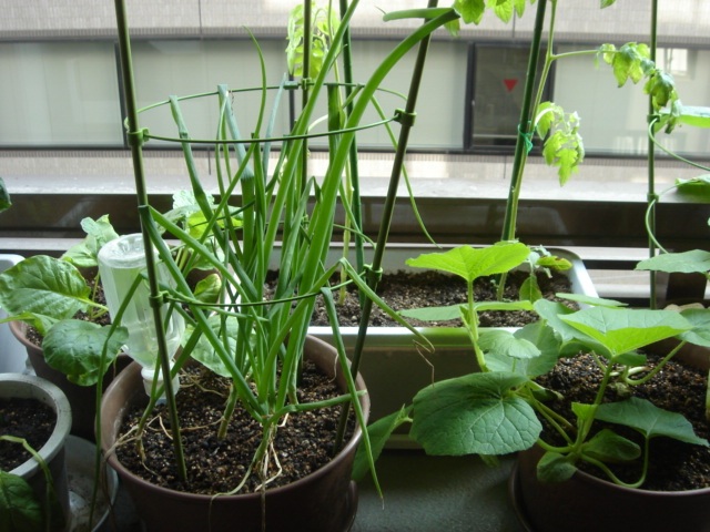 a0063997_8113855.jpg
