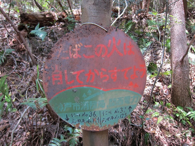 2010年5月30日　金鳥山～住吉道_b0162798_1331385.jpg