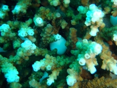 e0023100_1641826.jpg