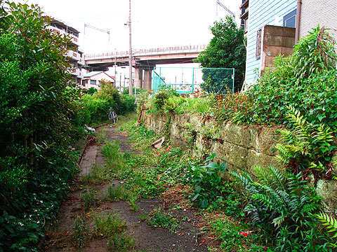 c0163001_23383664.jpg