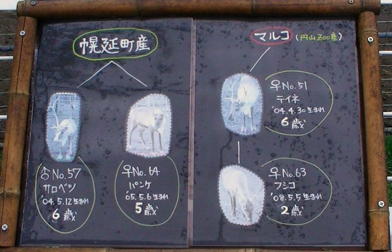 c0155902_2063524.jpg
