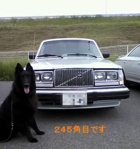 f0109202_1124441.jpg