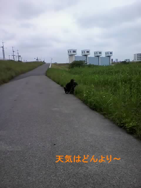 f0109202_1125435.jpg