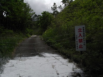 f0187402_20341269.jpg