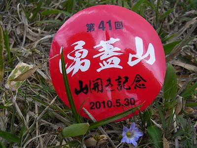 f0187402_2034363.jpg