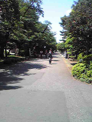 Campus in summer._a0161703_21241242.jpg