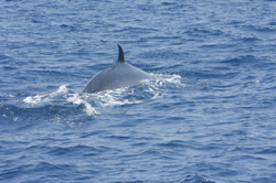 f0048405_9425231.jpg