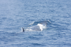 f0048405_943040.jpg