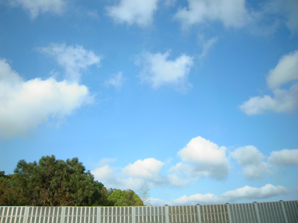 c0132608_17331938.jpg