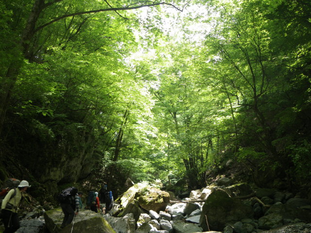 d0006512_016097.jpg