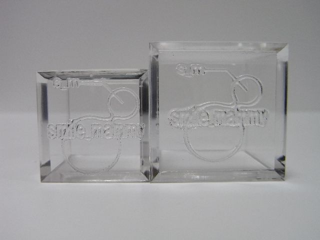 キャンペーンスタートと6月新作。_d0014014_047246.jpg