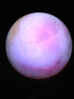 c0188819_1481766.jpg
