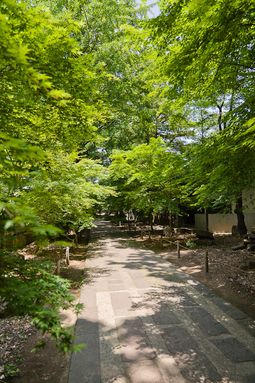6月ですね・・・。_f0077521_13143170.jpg