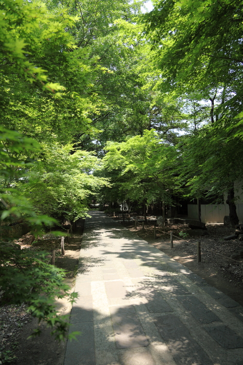 6月ですね・・・。_f0077521_1318946.jpg