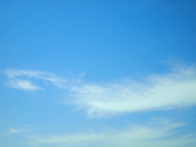 f0031722_1385090.jpg