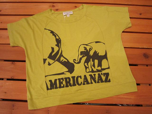 Americana \"PRINT T-SHIRTS\"_f0191324_0364814.jpg