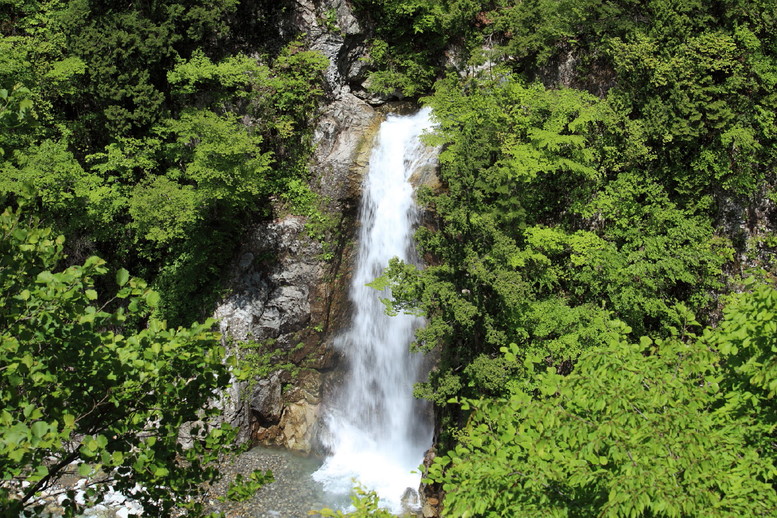 白山スーパー林道オープニングウォークⅣ_b0164726_2375272.jpg