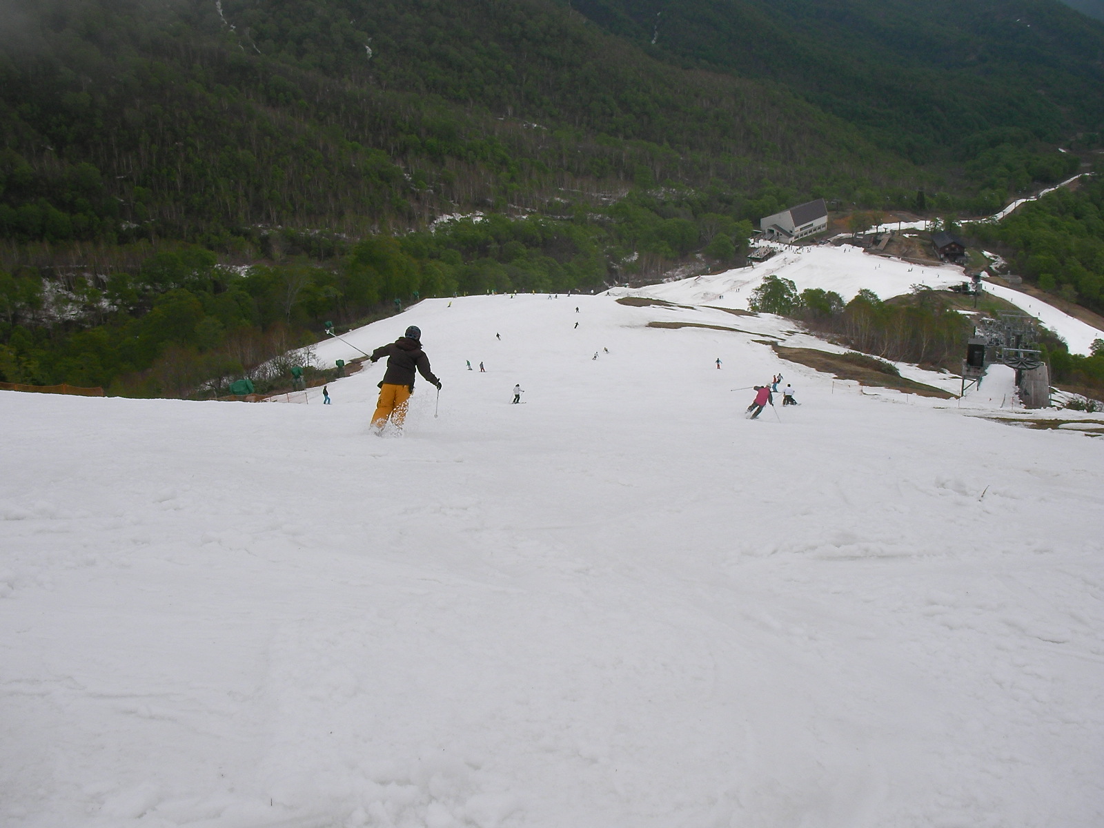 e0089227_20153769.jpg