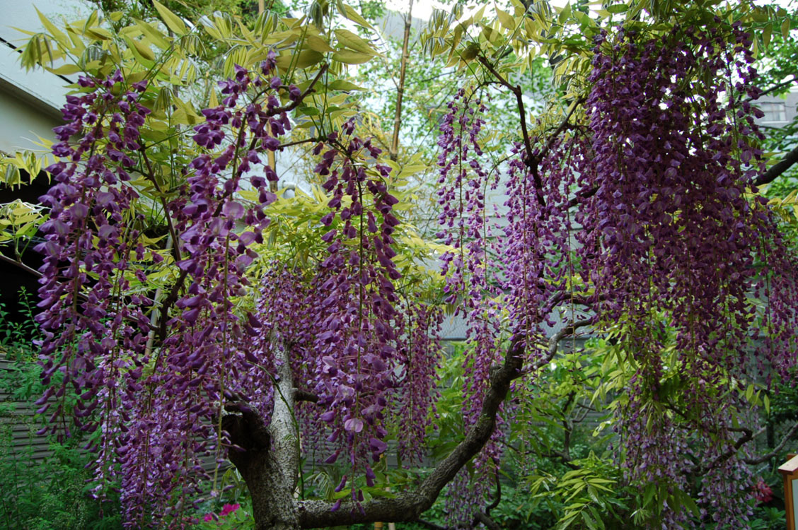 b0142428_23434653.jpg