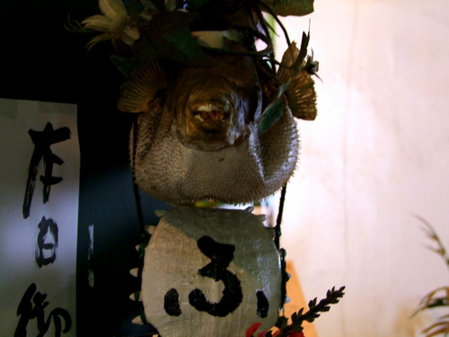「南武線 ふぐのお店のふぐコース」_a0000029_1233098.jpg