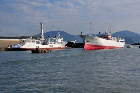 c0132230_9472454.jpg