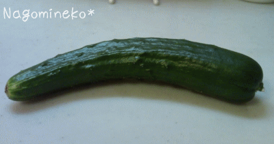a0166338_19515467.gif