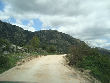 e0120938_3381361.jpg