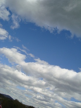 e0120938_3474927.jpg