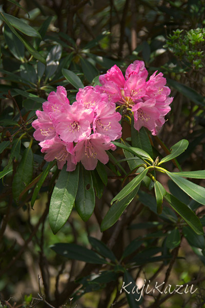a0166940_2132392.jpg