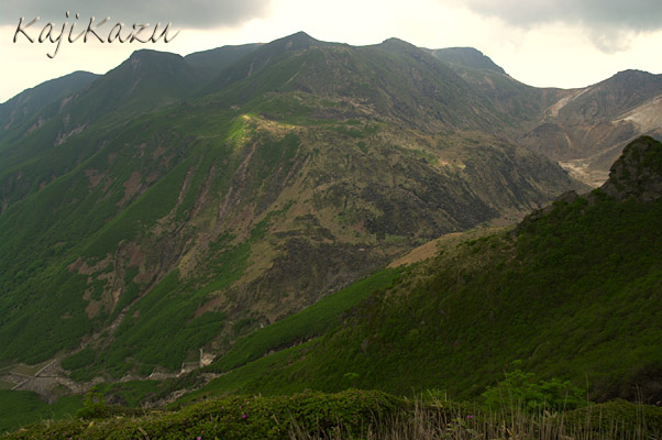 a0166940_2185719.jpg